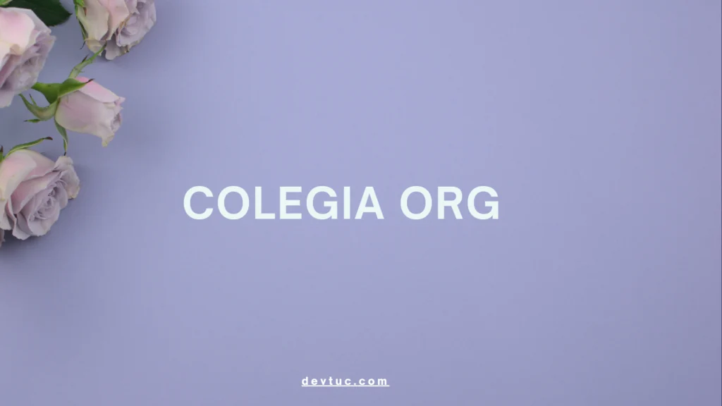 Table: Key Features of Colegia Org