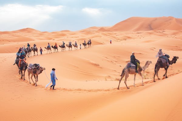 Luxury in the Desert: A Look at the Exclusive Desert Safari Experiences in Abu Dhabi